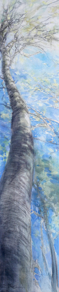 Tree by Stavroula Vertsoni