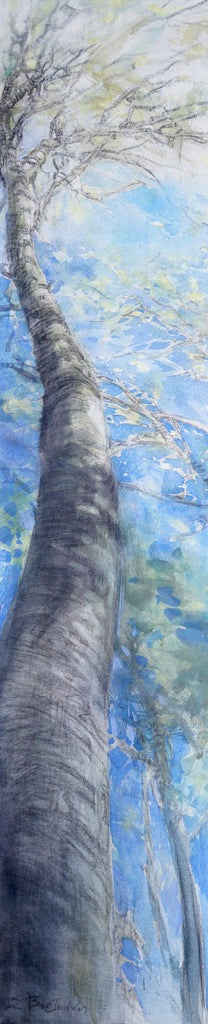 Tree by Stavroula Vertsoni